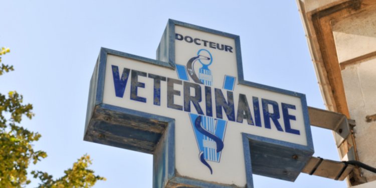 French-speaking Countries