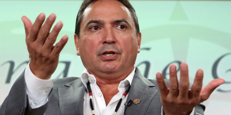 Perry Bellegarde, AFN chief