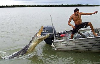 aussie-stereotypes-crocodile