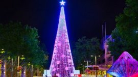 Chritmas-tree-lights-main_tcm25-407776