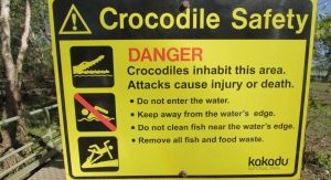 croc safety