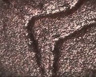 Australian Aboriginal culture for Kids