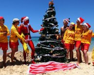 Australian Christmas Pictures free
