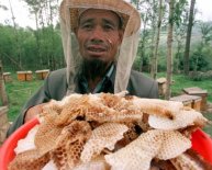 Australian Customs honey