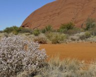 Communications in Australia