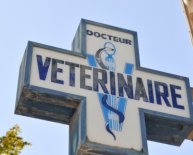 Countries Closest to Australia