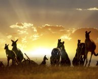 Lifestyle in Australia