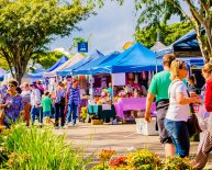 Multicultural events in Australia