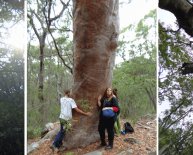 Tribes of Australia