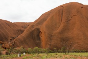 Understanding the dark markings and contours of Uluru from the Kuniya creation story.